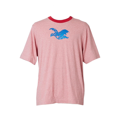 Shinyakozuka 日本设计师品牌 A Bird T恤