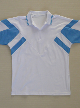 西安高新区/长安区/汉中市西高新/西咸新区/黄陵初高中夏季校服