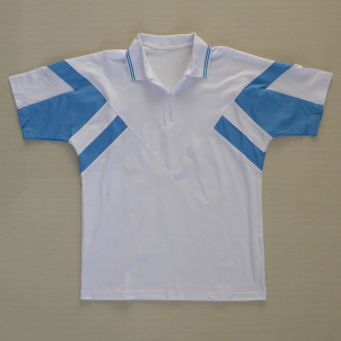 西安高新区/长安区/汉中市西高新/西咸新区/黄陵初高中夏季校服