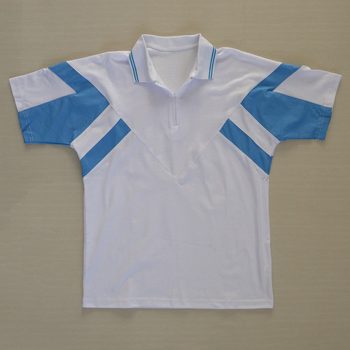 西安高新区/长安区/汉中市西高新/西咸新区/黄陵初高中夏季校服
