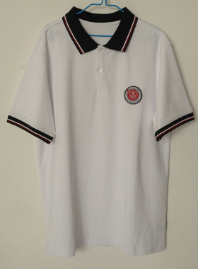 苏州校服来图定制各校区夏季薄款短袖T恤POLO衫短裤长裤外国语