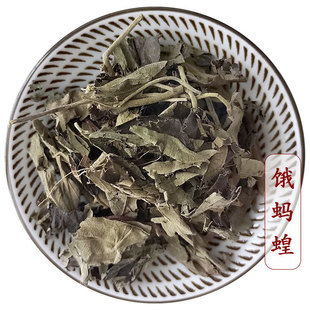 饿蚂蟥中药材野生山蚂蟥广西红掌草散装500克
