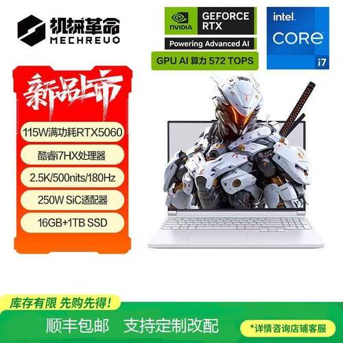 机械革命极光X蛟龙16pro游戏本