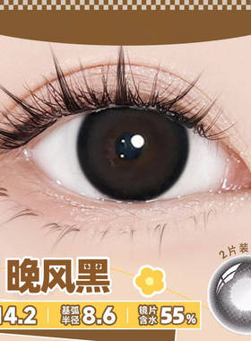 2片装】黑色海昌美瞳日抛自然隐形眼镜大小直径T带度数婚纱次抛ws