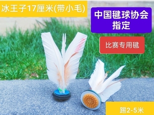 」 包邮 冰王子大白毽15.16.17厘米 各种速度「60个