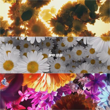 4K唯美鲜花LED大屏幕酒吧livehouse舞台背景VJ素材