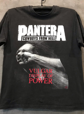 Pantera潘多拉乐队欧美摇滚重金属周边短袖hiphop炸街男女潮流T恤