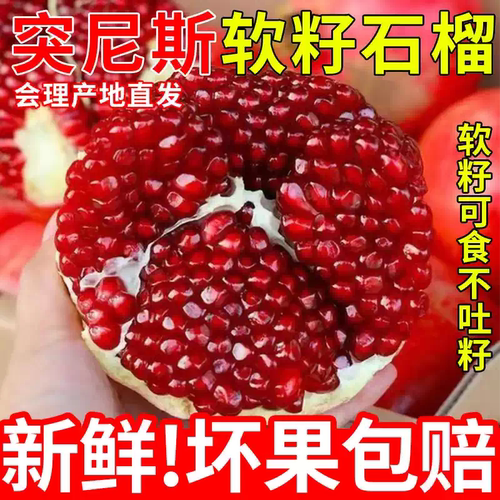 会理突尼斯软籽石榴现摘坏果包赔
