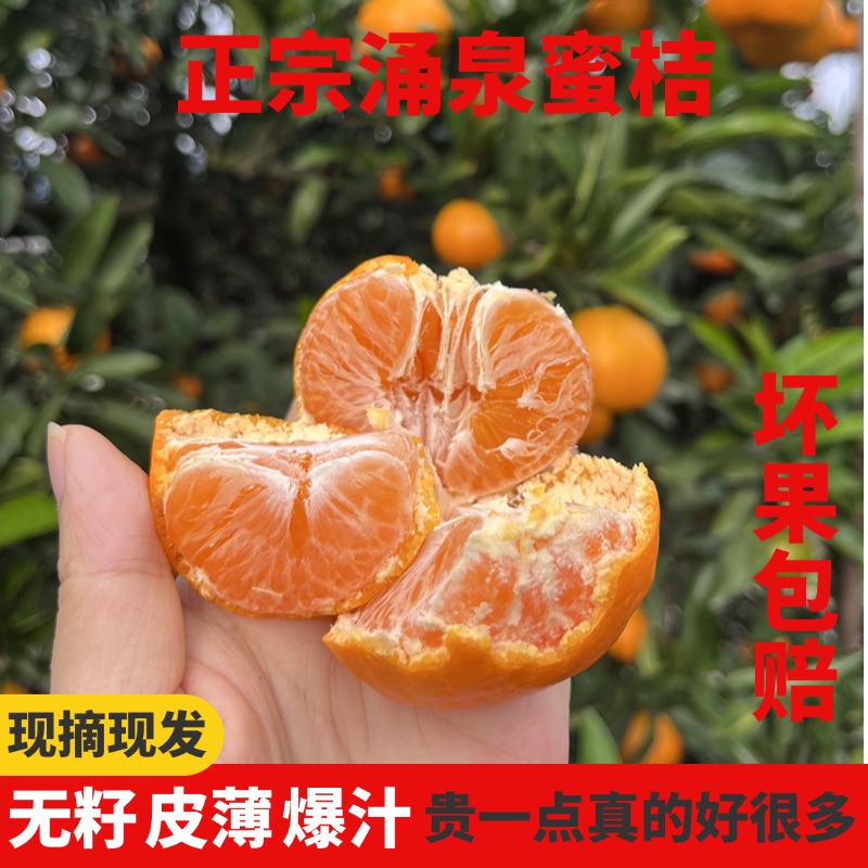 正宗临海涌泉蜜桔橘子新鲜水果