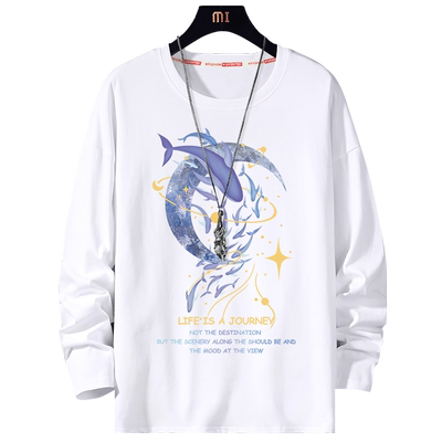 长袖秋季青少年纯棉宽松潮牌t恤