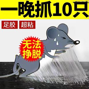老鼠贴超强力粘鼠板魔毯抓大老鼠夹扑捉灭鼠胶沾正品家用捕鼠神C