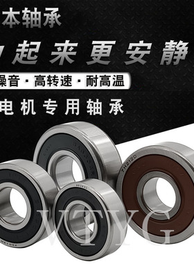 人本C&U汽车发电机轴承6403X3 SA6403X1   SAEC608X3RS 6202 6303