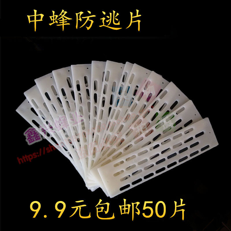 中蜂隔王片塑料防跑王巢门隔王珊防盗蜂防胡蜂养蜂工具蜂王防逃片在类目 传统滋补营养品, 蜂产品, 其它蜂产品中 - 来自Buy2taobao.com提供专业的淘宝代购服务