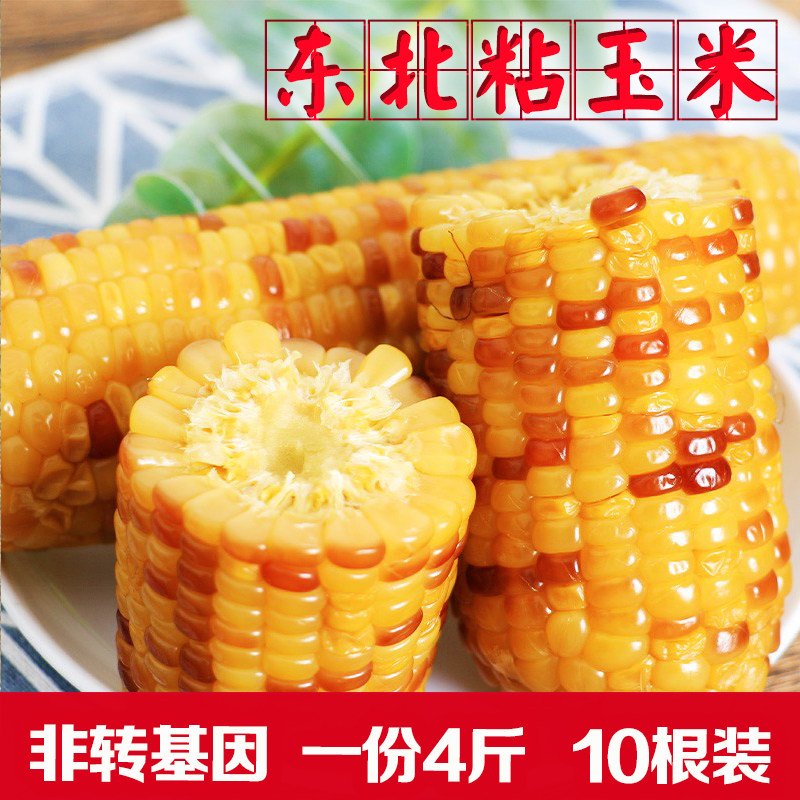 东北粘玉米花糯玉米棒彩糯粘甜黏粒苞米真空包宝宝辅食儿童装早餐