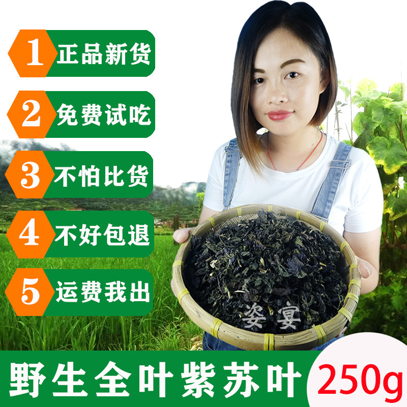 全叶紫苏叶干新鲜食用紫苏 苏子叶干中药材 除腥去腥鱼虾蟹甲香料