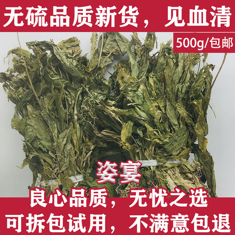 见血清500g 中药材羊耳蒜 见血青 立地好 中草药新鲜干货无硫包邮