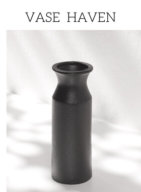 超好看现代简约禅意黑色氛围感花瓶茶几桌面客厅干花水培绝美花器