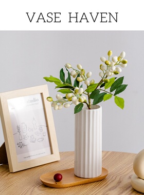 超好看白色现代简约氛围感花瓶北欧桌面客厅书房网红爆款绝美花器