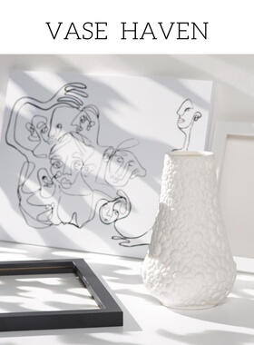 超好看北欧创意白色简约氛围感花瓶干花水培家居客厅餐厅绝美花器