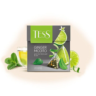 俄罗斯果茶进口TESS牌绿茶青柠檬薄荷味果茶三角茶包36克