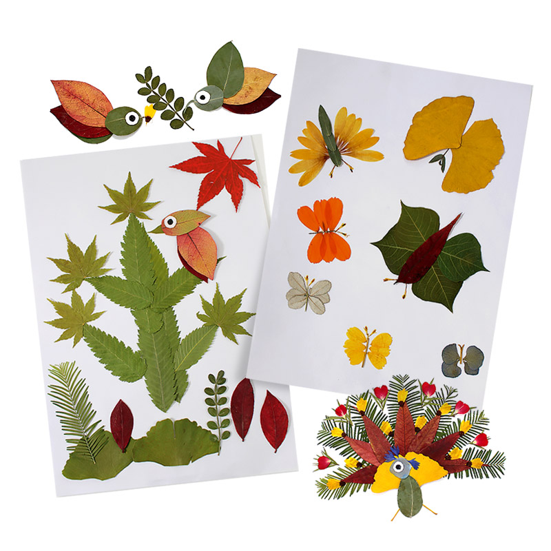 干花真树叶手工材料包学生幼儿园儿童diy创意秋天植物标本粘贴画