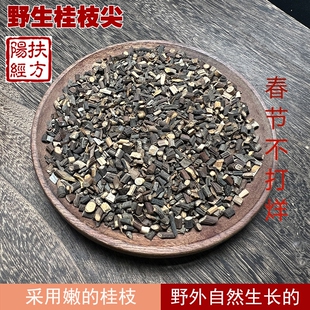 扶阳经方 野生的桂枝尖中药材 越嫩越细的效果越好 桂枝