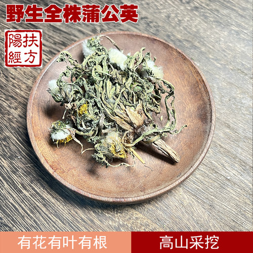蒲公英中药材四川野生全珠