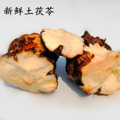 现挖土茯苓新鲜整个野生土茯苓张家界特产汤料精选食材新鲜茯苓