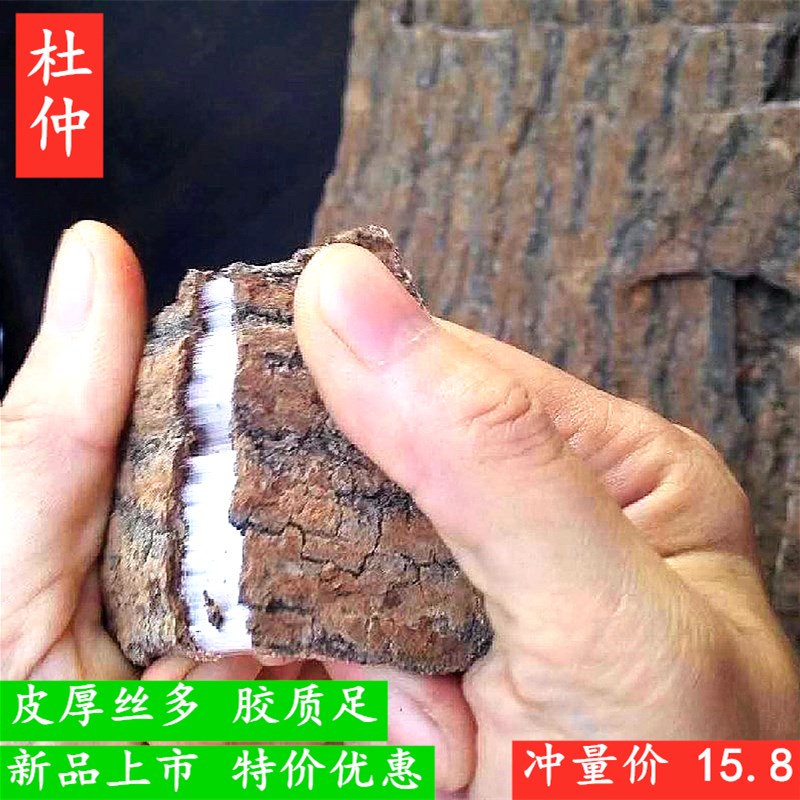 杜仲500g张家界特产野生杜仲皮精选优质厚皮药材可搭配巴戟泡酒