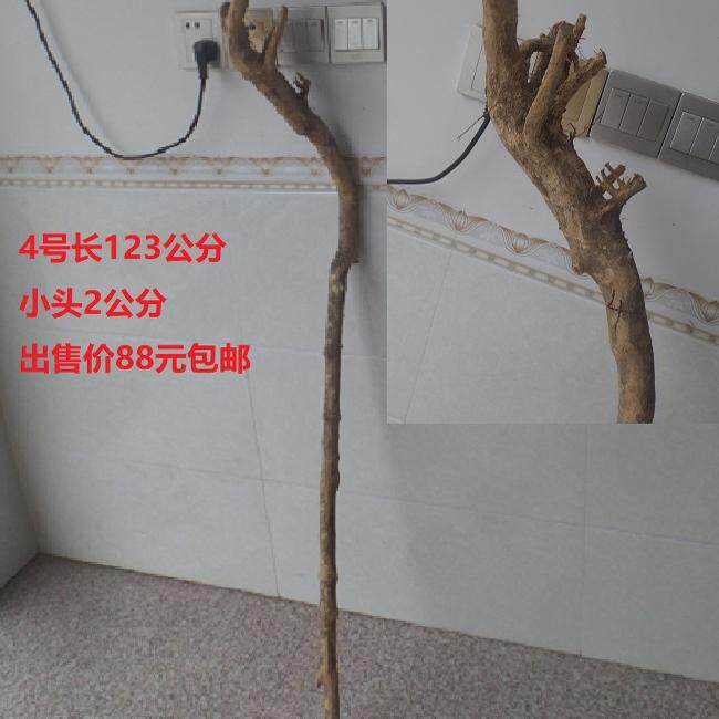 작은 잎 회양목 목발재 수도꼭지 버팀목 재료 회양목 뿌리 조각 손잡이 조각 작은 잎 회양목 원목