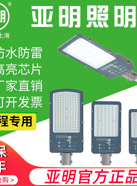 亚明led路灯头220v新农村道路户外防水电线杆照明灯庭院射灯路灯