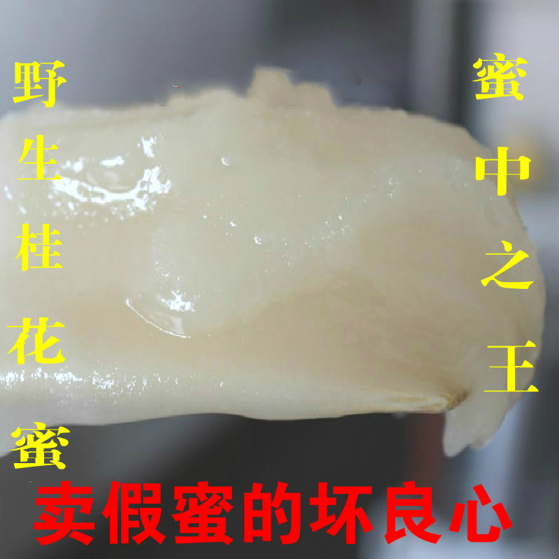 天然桂花百花蜜野生土蜂蜜农家自产白蜜冬蜜蜂巢纯正深山成熟原蜜