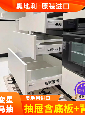 进口百隆blum骑马抽屉阻尼滑轨道骑马导轨骑马抽屉阻尼缓冲导轨