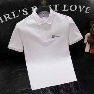 青春潮流休闲POLO衫 上衣男 刺绣翻领简约保罗短袖 T恤休闲透气修身