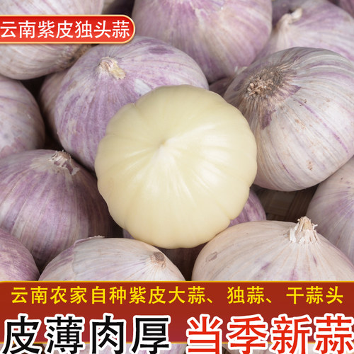 紫皮独头大蒜干蒜5斤云南紫皮大蒜头农家新大蒜独蒜香蒜调料1斤