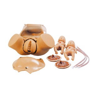 泰贵医学TG/F20分娩综合技能训练模型宫颈产道变化助产示教模型