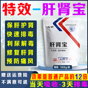 肝肾宝兽用肝肾舒鸡鸭鹅鸽子肝肾康禽用肝肾通痛风肝胆颗粒肝肾通