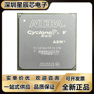 5CSEMA5F31A7N\5CSEMA5F31C6N\5CSEMA6F31C7N 5CSEMA6F31C8N I7N\