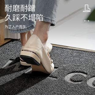 大江地垫入户门垫免洗可擦进门脚垫子门口高级感门垫家用门外地u.