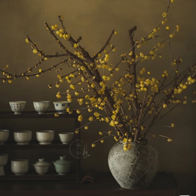 淡雅清香川渝素心腊梅鲜切花