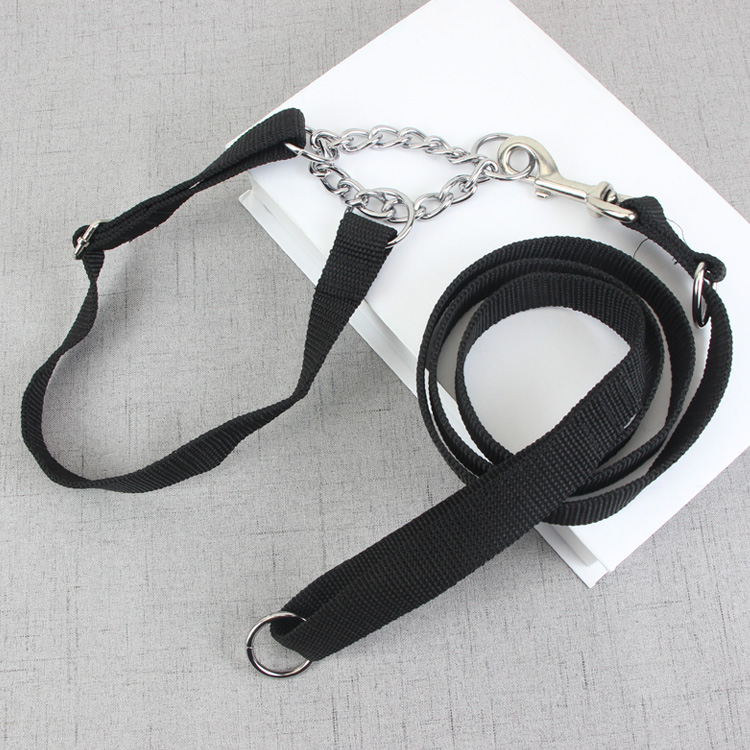 狗绳子狗狗脖圈项圈宠物大型犬