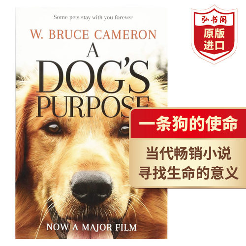 一条狗的使命电影原著英文原版