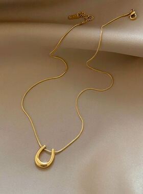 简约百搭金色时尚马蹄吊坠项链女新款轻奢气质小众高级钛钢锁骨链
