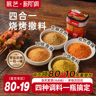 展艺四合一烧烤撒料家庭调味料家用孜然辣椒烤肉蘸料牛羊肉串撒料