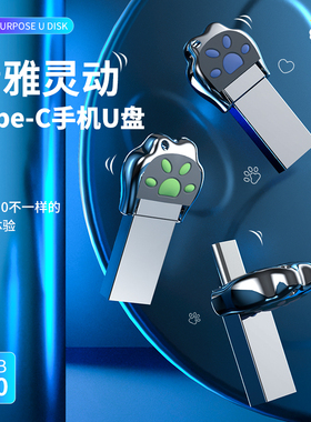 手机u盘128g高速3.0优盘定制32g电脑两用64g金属Type-C开模M029
