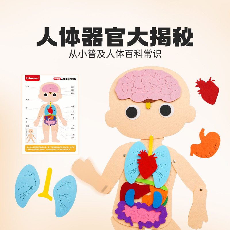 幼儿园科学区角墙面游戏小班中班早教玩具认识五官人体器官揭秘