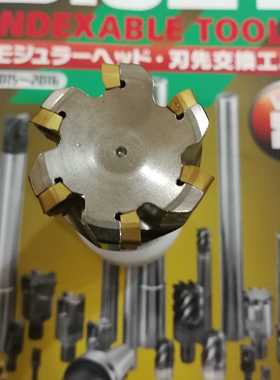 ZP1003-35-6T黛杰戴杰插铣螺纹头装YPHW100308刀片