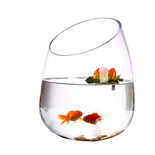 圓形玻璃水培植物花瓶透明斜口魚缸斜口綠蘿水培花盆水培器皿水族