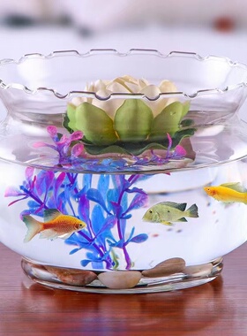 迷你小型桌面花边鱼缸办公室金鱼水培绿萝超白玻璃圆形造景缸特价