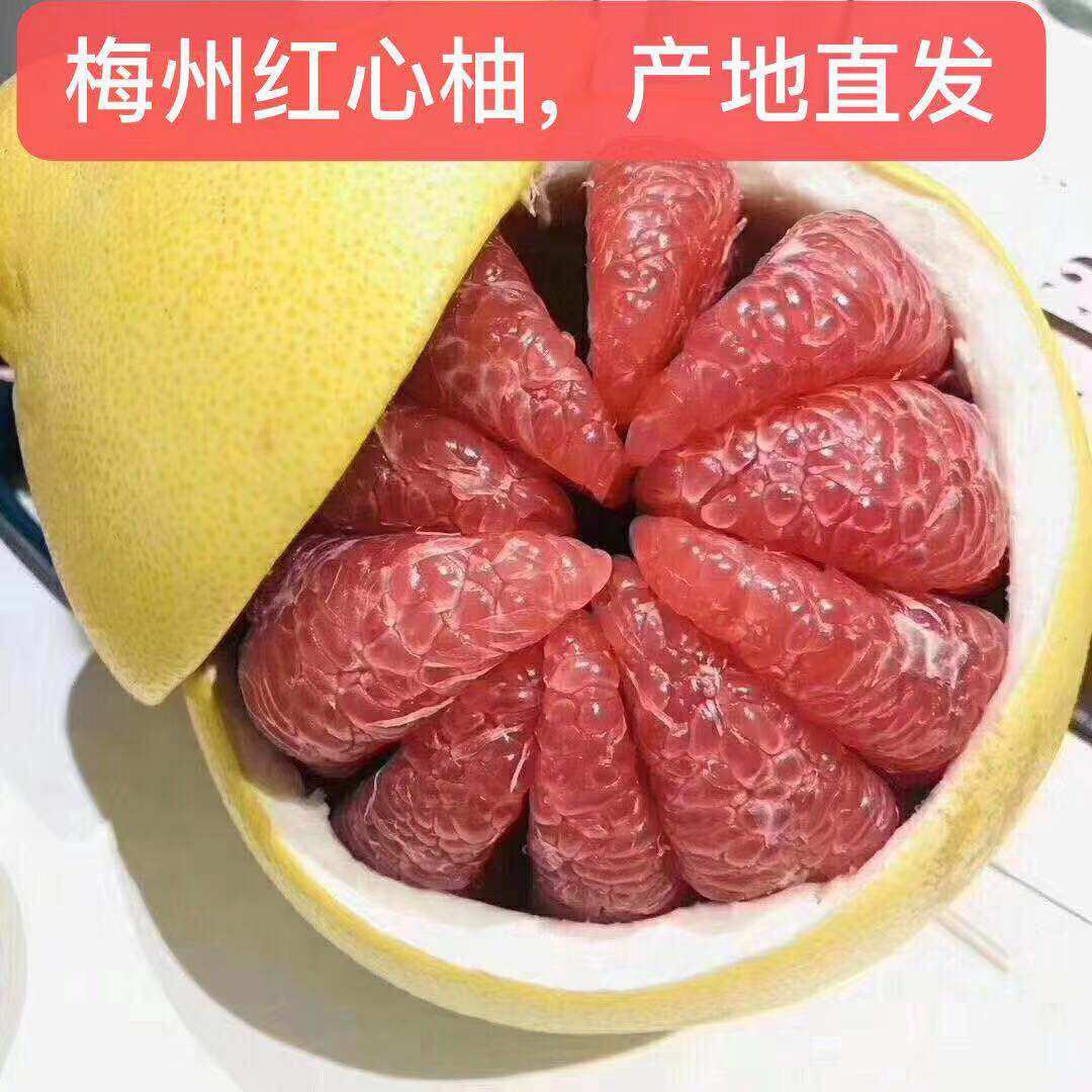 30斤梅州蜜柚只发广东省内蕉岭特产红心柚三红柚子沙田柚红肉柚子|ruв категории водной мясо/свежие фрукты и овощи/еда, свежие фрукты, грейпфрут - от Buy2taobao.com для оказания профессиональной услуги покупки агента Taobao